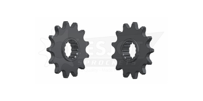 Esjot Motorritzel für GasGas EC 125-450 01-23 /MC 250 01-10 (13 Zähne)