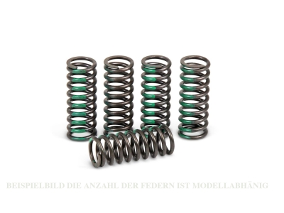 Pro Circuit Kupplungsfedern Honda CRF 250 18-19